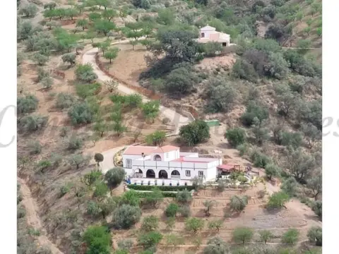 Finca rústica en Sedella