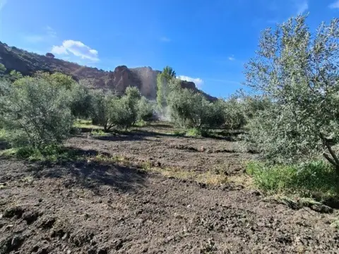 Finca rústica en La Peza