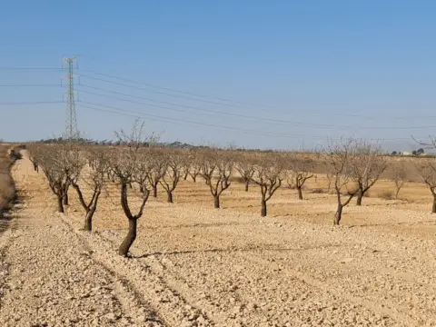 Terreno en Jumilla