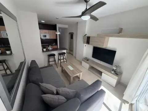 Apartamento en El Higueral-La Merced