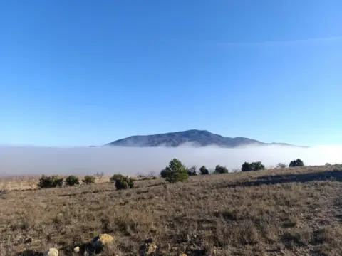 Terreno en Yecla