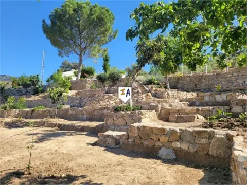 Finca rústica en Recinto Ferial-Circunvalación-La Vega