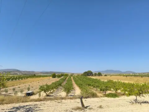 Terreno en Monòver - Monóvar