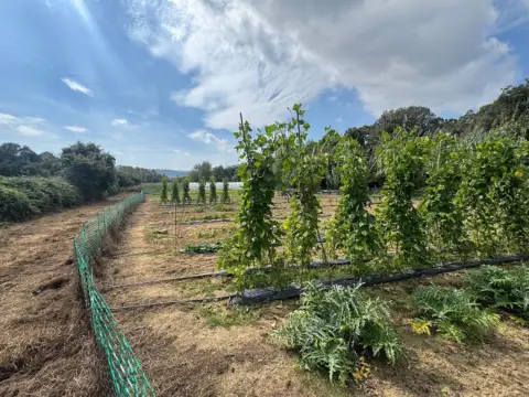 Finca rústica en Tordera