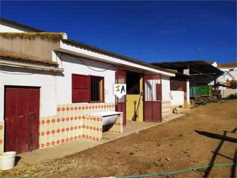 Chalet en Mollina