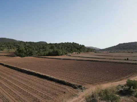 Terreno en El Pinós - Pinoso