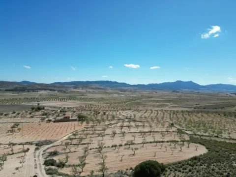 Terreno en El Pinós - Pinoso