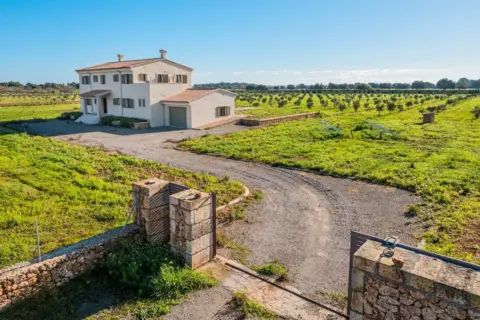 Finca rústica en Porto Cristo