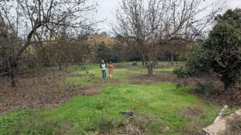 Terreno en Alhaurín el Grande