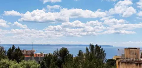 Apartamento en Palma de Mallorca