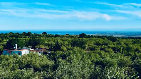 Finca rústica en Camarles