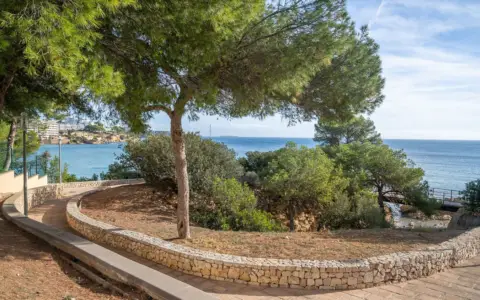 Apartamento en Palmanova-Son Caliu