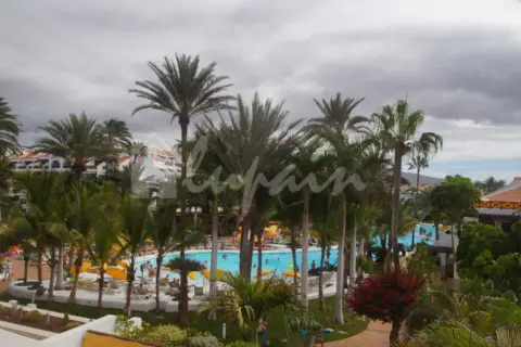 Piso – Arona