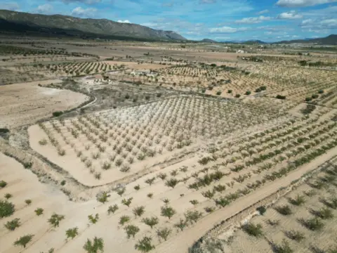 Terreno en El Pinós - Pinoso