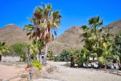 Finca rústica en Tébar-Los Arejos