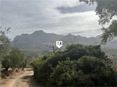 Finca rústica en Priego de Córdoba