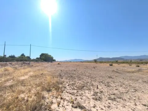 Terreno en El Pinós - Pinoso