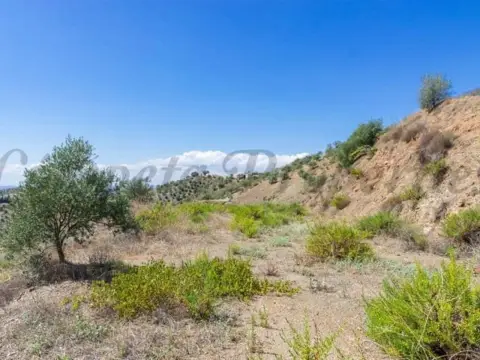 Terreno en Canillas de Albaida