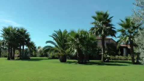 Finca rústica en Santa Margalida