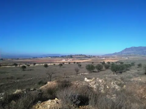 Terreno en Torre del Rico