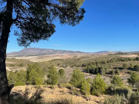Terreno en La Zarza