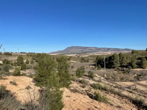 Terreno en La Zarza