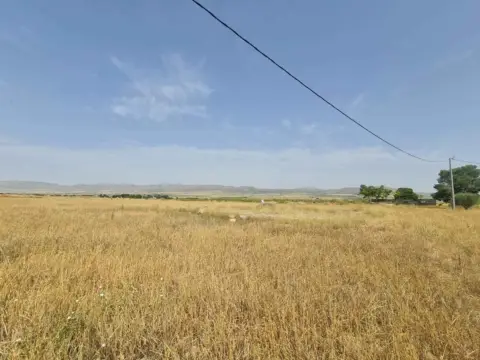 Terreno en Yecla