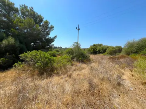 Terreno en Cales de Mallorca