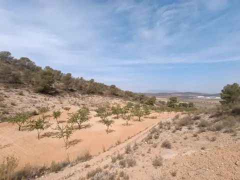 Terreno en Abanilla