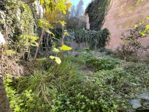 Terreno en Cales de Mallorca