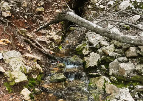 Finca rústica en Escorca