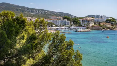 Apartamento en Palmanova-Son Caliu