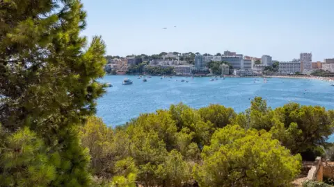 Apartamento en Palmanova-Son Caliu