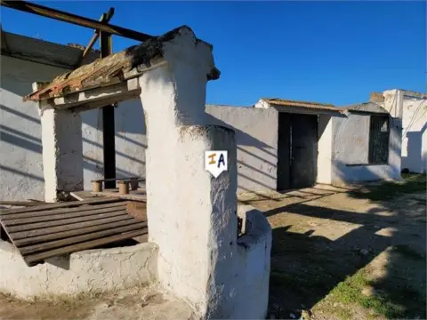 Finca rústica en Amate