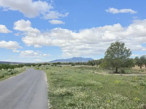 Terreno en Monòver - Monóvar