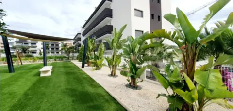 Pis – Orihuela