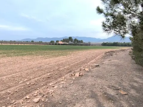 Terreno en Yecla