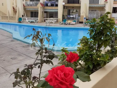 Apartamento en El Torviscal