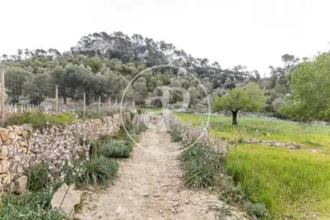 Casa en Banyalbufar