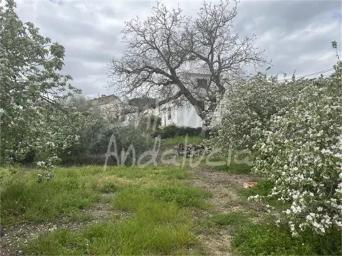Casa en Priego de Córdoba