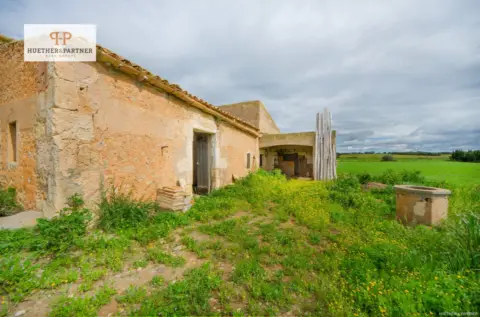 Finca rústica en Manacor