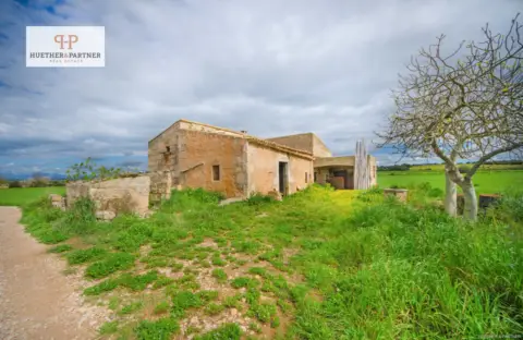 Finca rústica en Manacor
