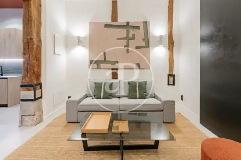 Apartamento en Embajadores-Lavapiés