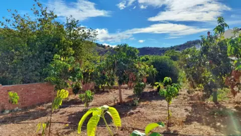 Terreno en Benamargosa