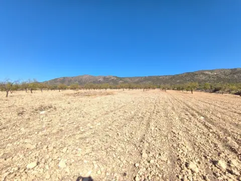 Terreno en Monòver - Monóvar
