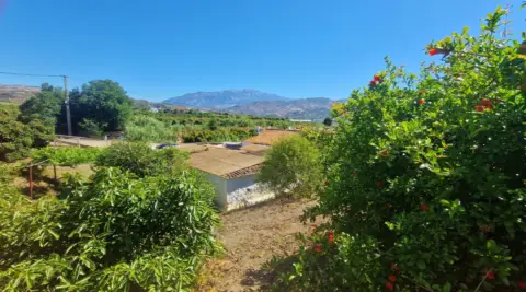 Finca rústica en Benamocarra