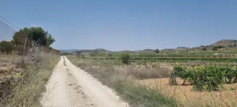 Terreno en El Pinós - Pinoso