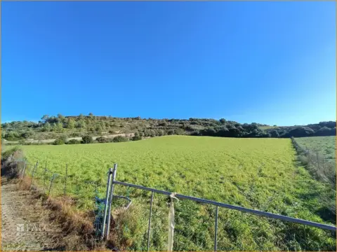 Terreno en Manacor
