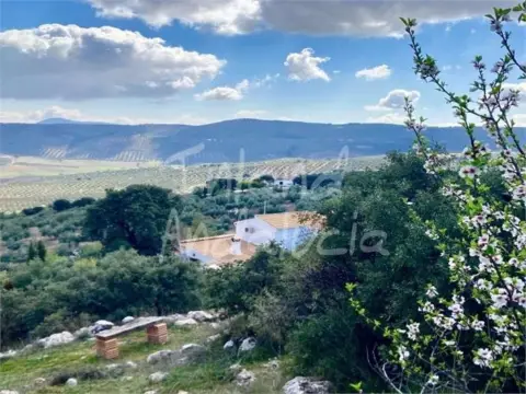 Finca rústica en Ermita Nueva