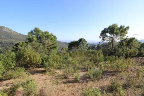 Terreno en Benahavís